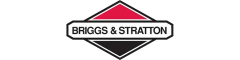 Briggs & Stratton